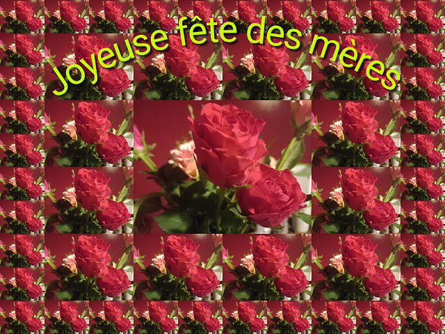 Bonne fête à toutes les mamans ........