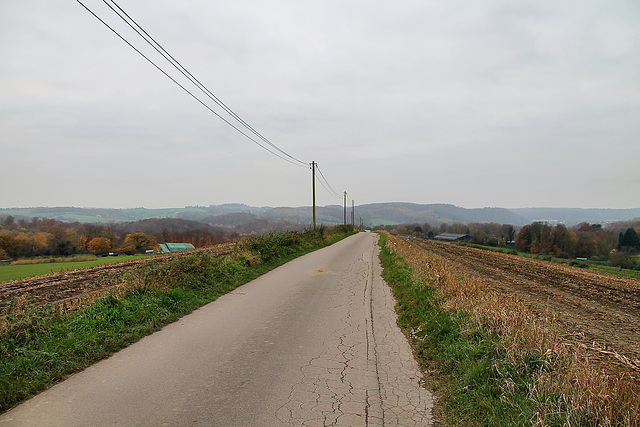 Zum Timpen (Essen-Heidhausen) / 16.11.2024