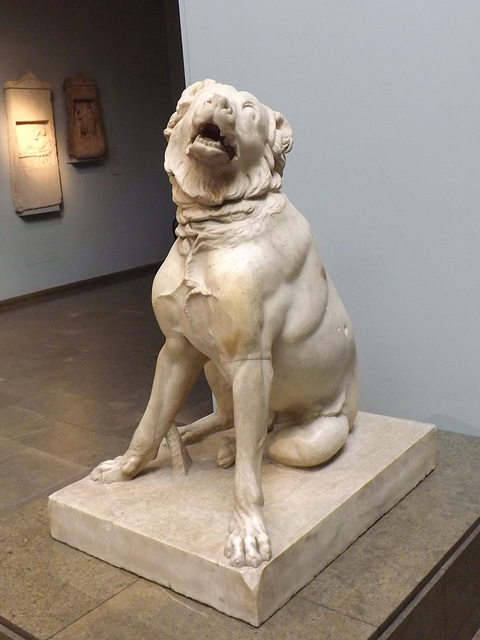 Molossian Hound in the British Museum, May 2014