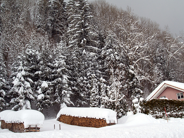 Bayern in the Winter