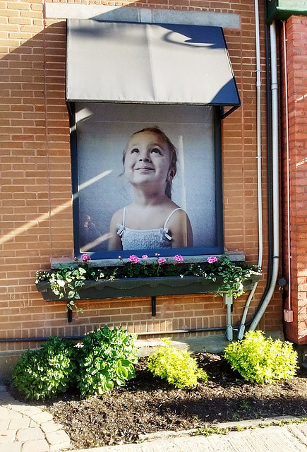 Sourire en fenêtre / window's smile