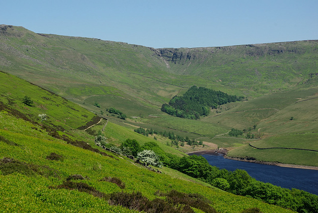 Kinder Downfall from White Brow