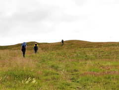 Scotland St. Cuthbert's Way