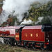 LMS class 8P Coronation 4-6-2 6233 DUCHESS OF SUTHERLAND with 1J53 09.50 Heywood - Rawtenstall departing Irwell Vale 19th October 2018.(ELR)