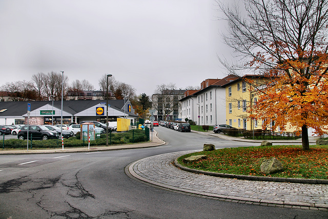 Haldenstraße, Kreisverkehr (Dortmund-Innenstadt-West) / 3.12.2022