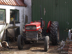 Same Massey Ferguson revisited 47 years later (2013)