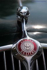 Jaguar 3.8 Litre