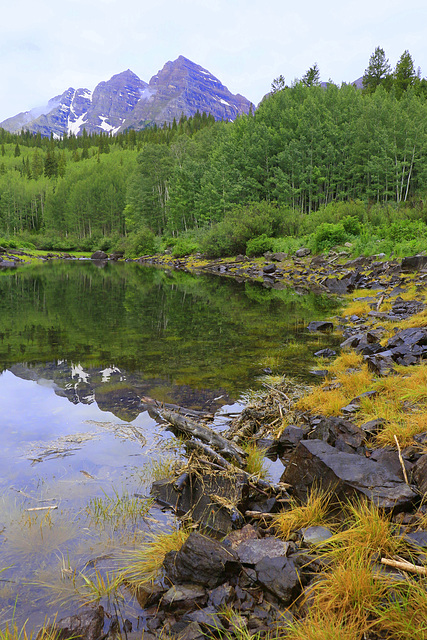 Beaver Ponds