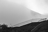 Fence in the mist