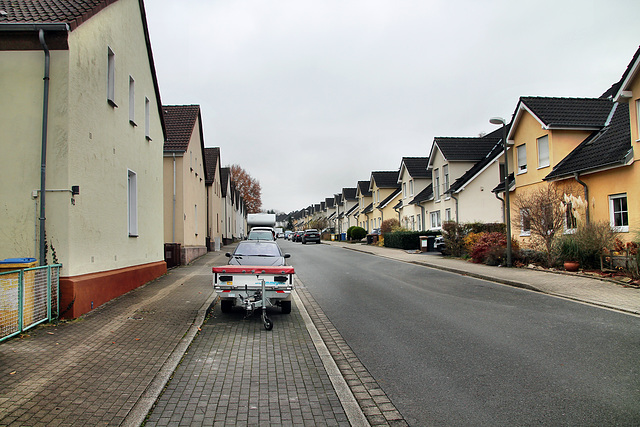 Tremoniastraße (Dortmund-Innenstadt-West) / 3.12.2022