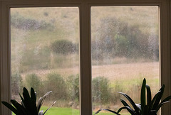 Rainy days are here again - This is NOT what I want to see out the window day after day, but at least we are not prone to flooding here! I feel for our new neighbour walking her dogs in this filthy weather.