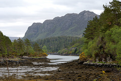 A Loch Carron walk