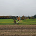 Blick zum Kutschenweg (Essen-Heidhausen) / 16.11.2024 Blick zum Kutschenweg (Essen-Heidhausen) / 16.11.2024