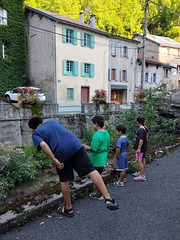 4 petits curieux !!!