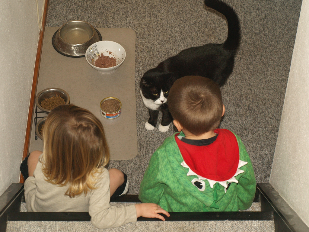 Feeding Snow White, 1