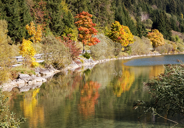 Herbst am Haldensee