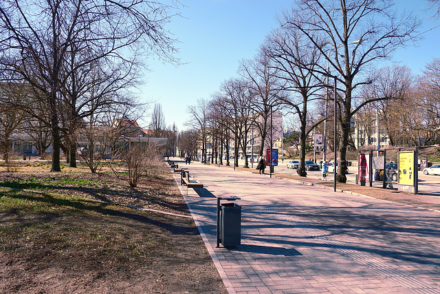 Pärnu Road / Tammsaare Park