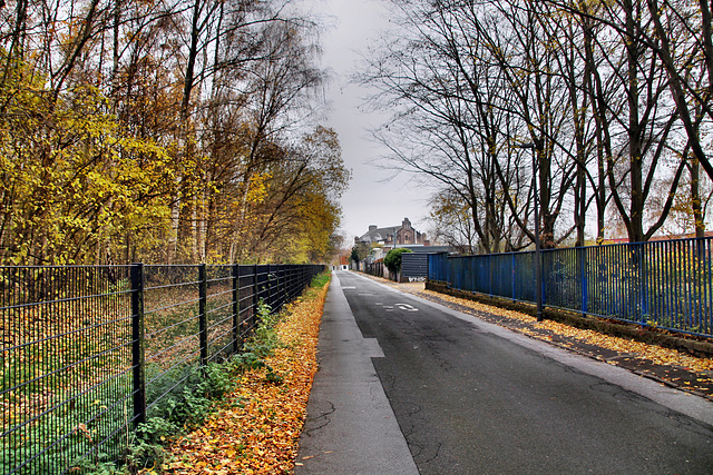 Haldenstraße (Dortmund-Innenstadt-West) / 3.12.2022