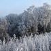 A frosty outlook