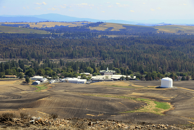 View from Booth Hill