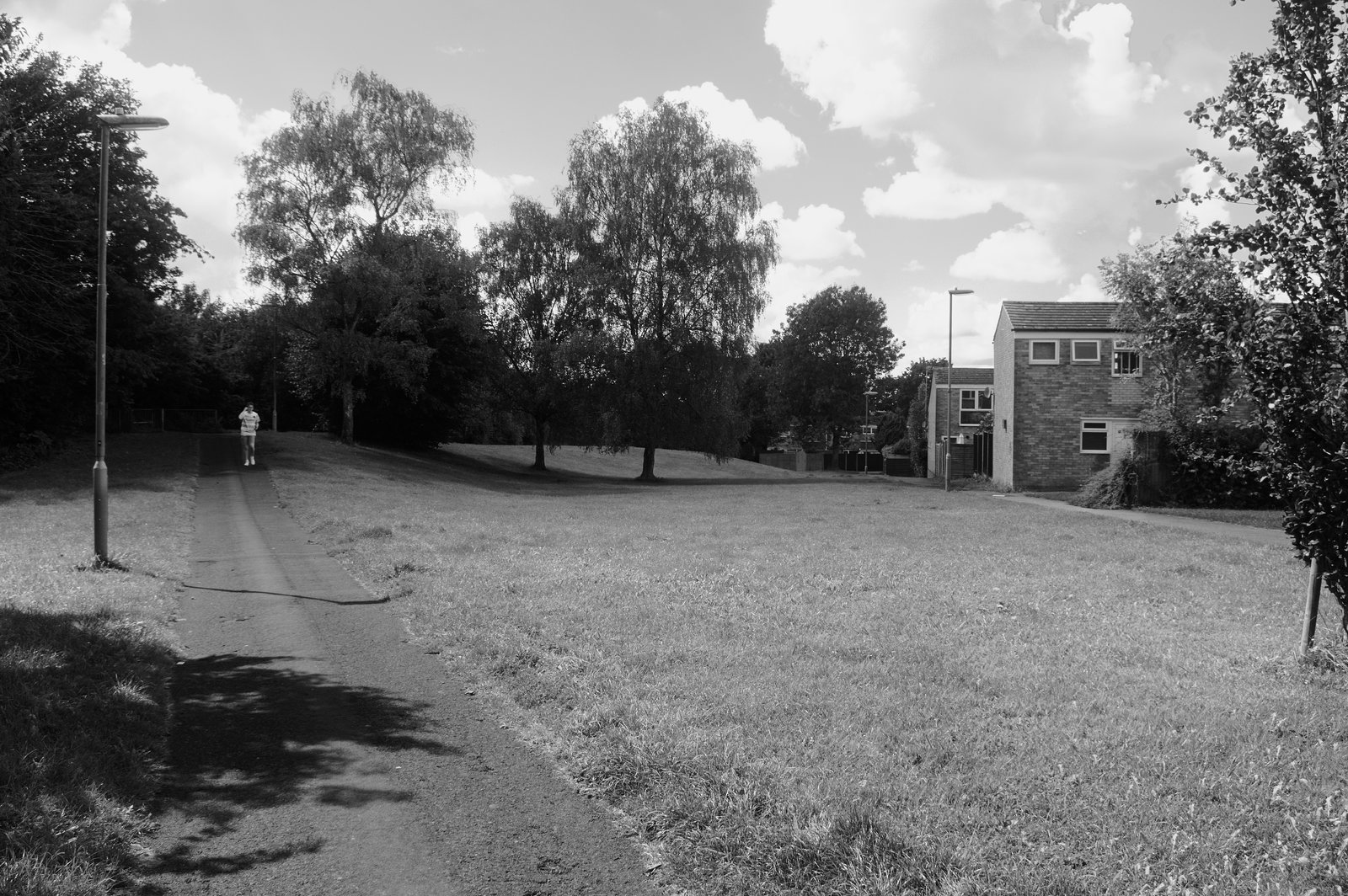 Leafy housing development in Basingstoke, 2023 (2)