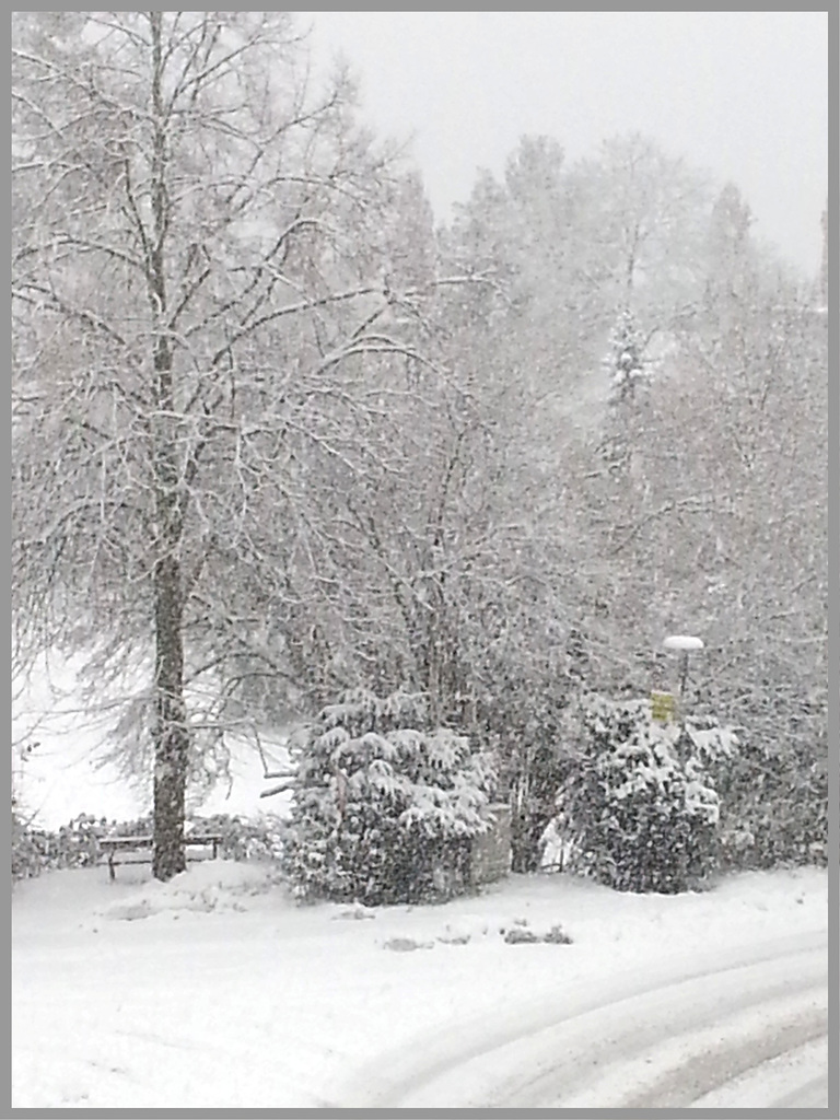 Es schneit und schneit und schneit.......