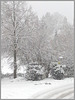 Es schneit und schneit und schneit.......