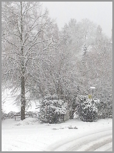 Es schneit und schneit und schneit.......