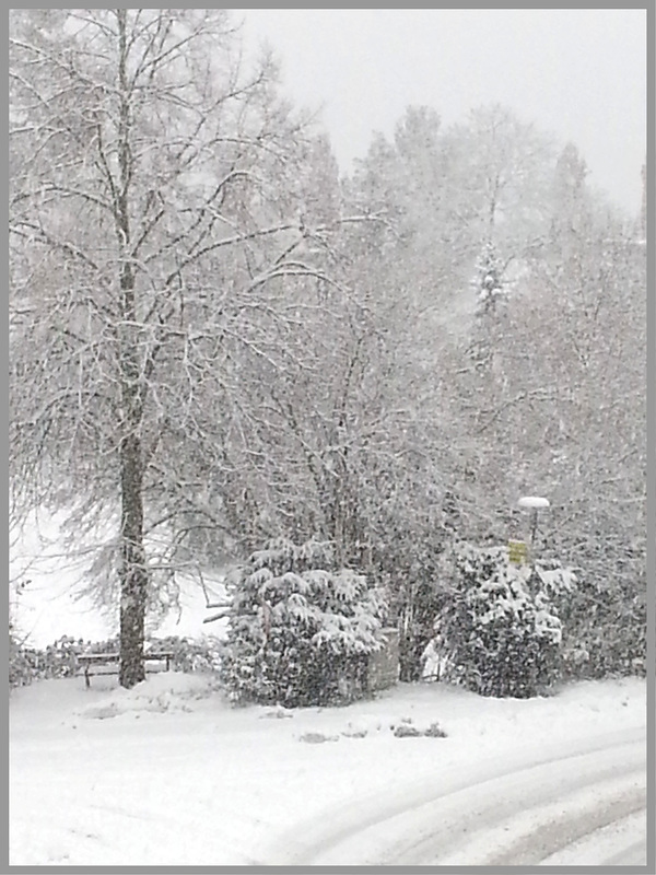 Es schneit und schneit und schneit.......