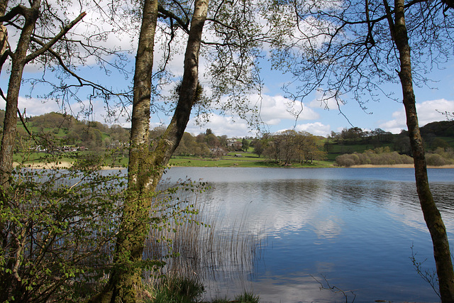 Esthwaite Water