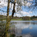 Esthwaite Water