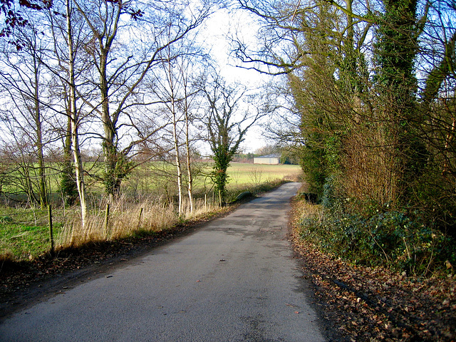 Lane alongside Fisherwick Wood, crossing Fisherwick Brook