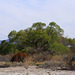 Ash Meadows National Wildlife Refuge