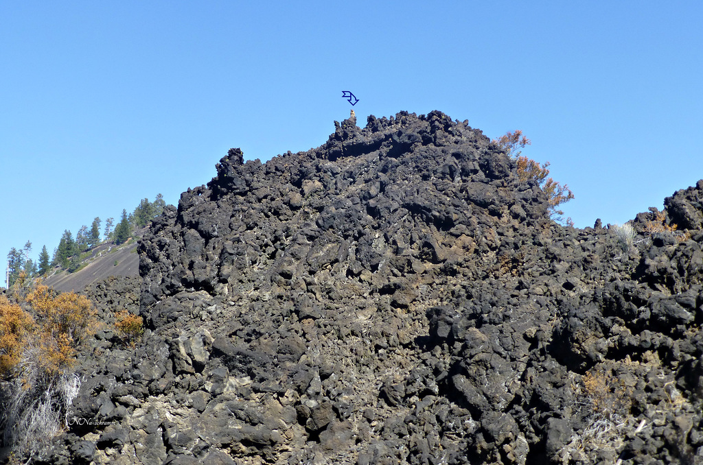 Streifenhörnchen auf Lava - Lava Butte, Oregon, USA (PiP)