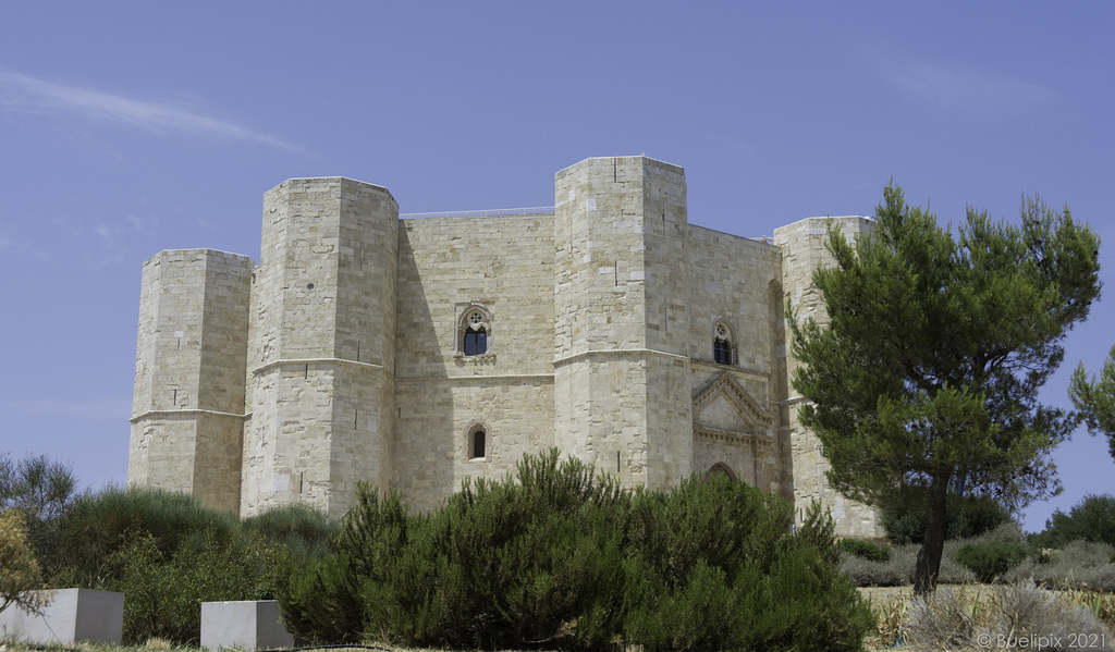 das Castel del Monte - P.i.P. (© Buelipix)