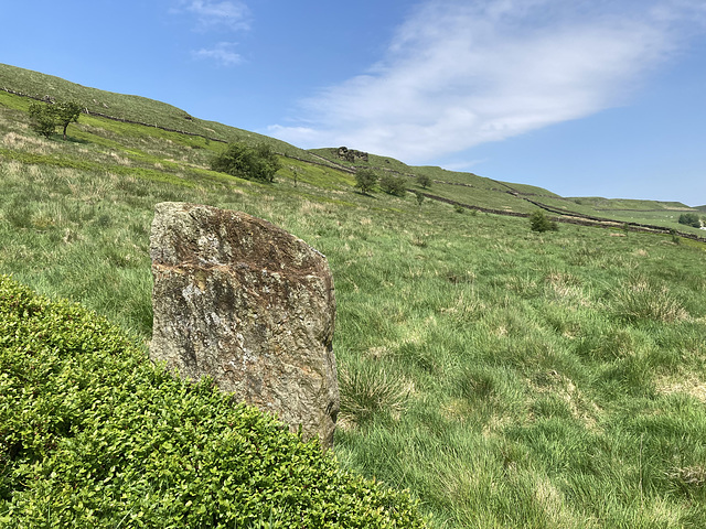 Standing stone