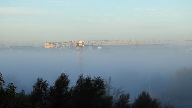 Kran im Morgennebel