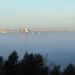 Kran im Morgennebel