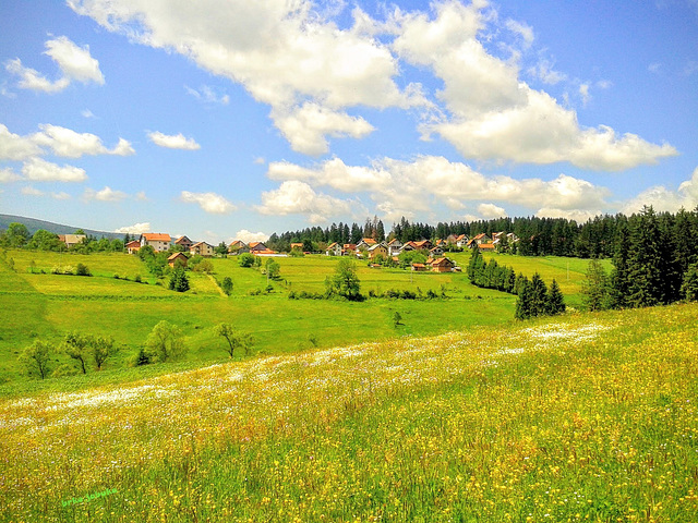 My favourite spring landscape