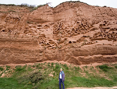 Budleigh Salterton Pebble Beds - faulted