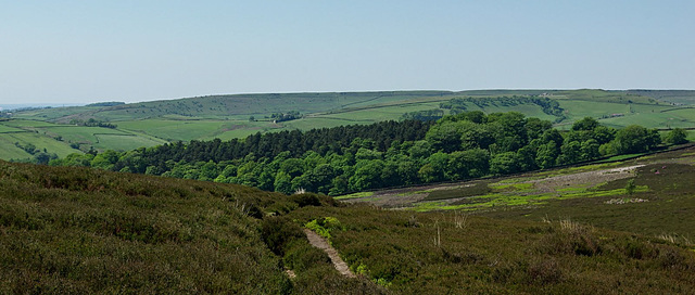 Cown Edge from Middle Moor