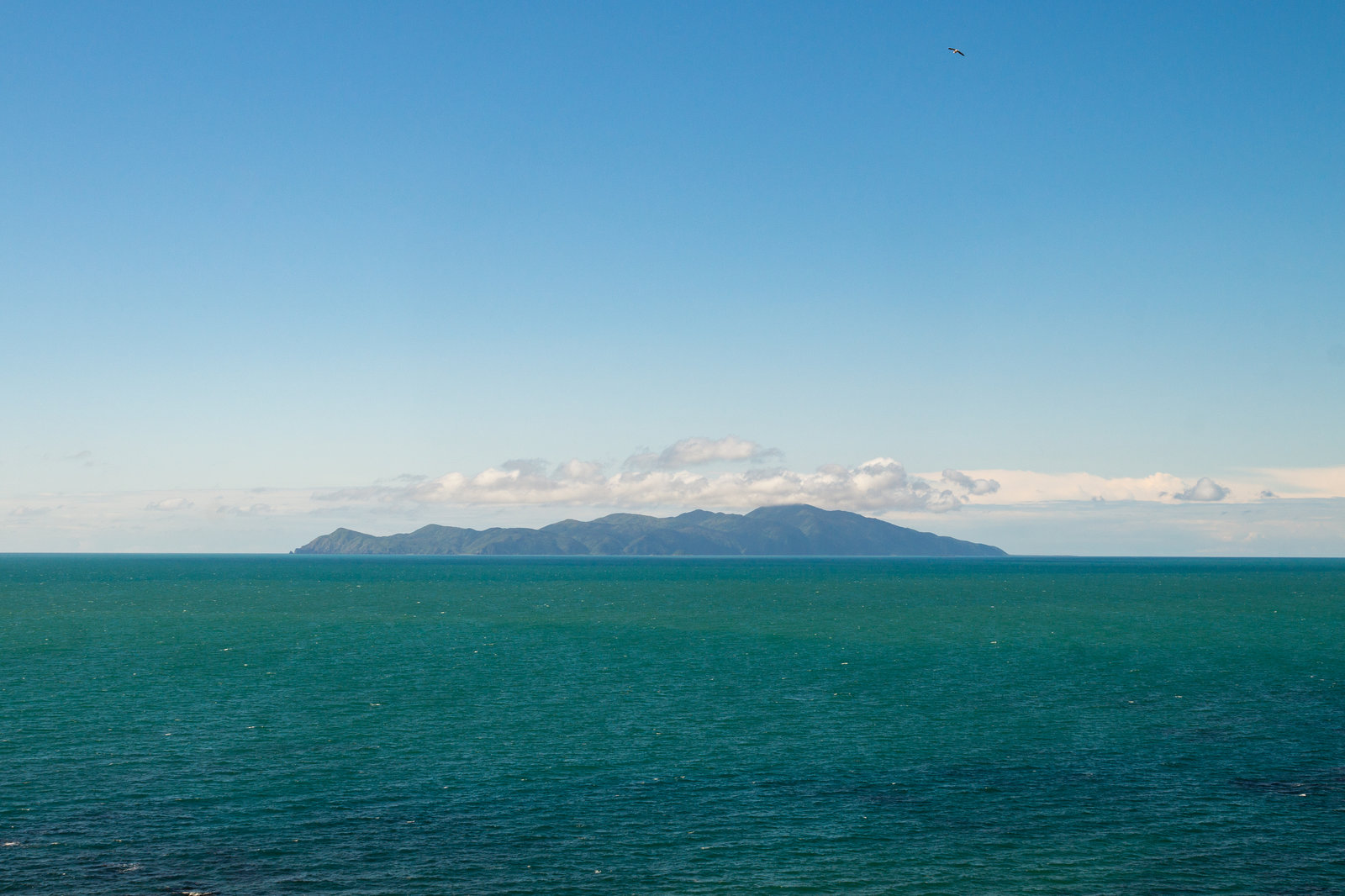 Neuseeland - Pukerua Bay