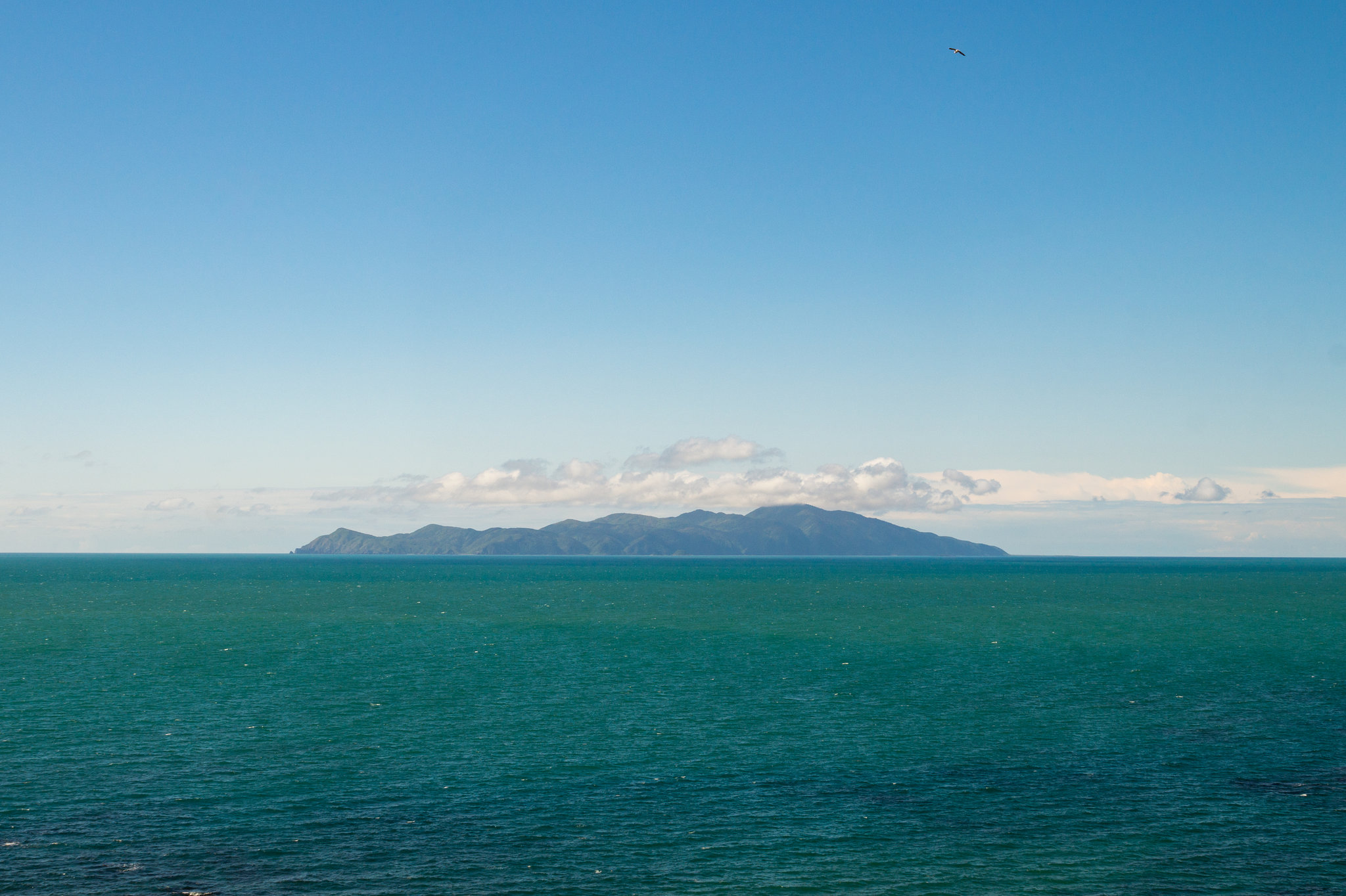 Neuseeland - Pukerua Bay