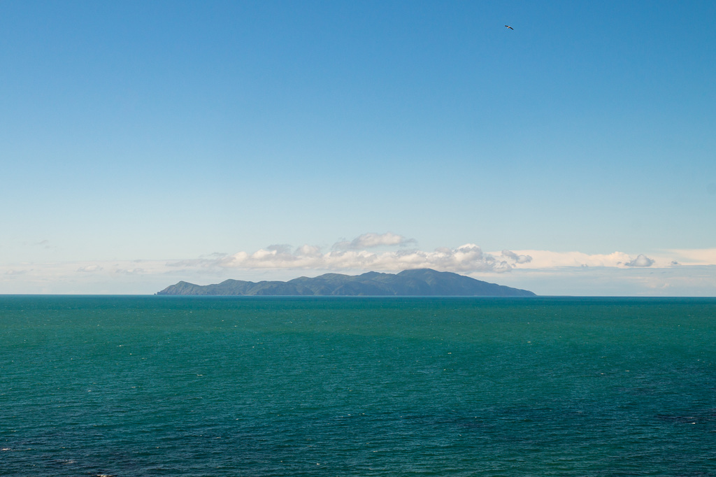 Neuseeland - Pukerua Bay