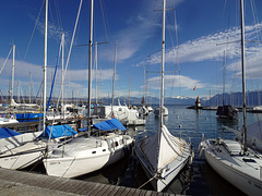 Bootshafen in Morges