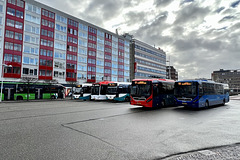 Buses in Leiden