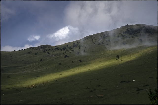 Un fil de boira i un fil de llum