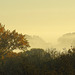 Morgennebel über Stillhorn