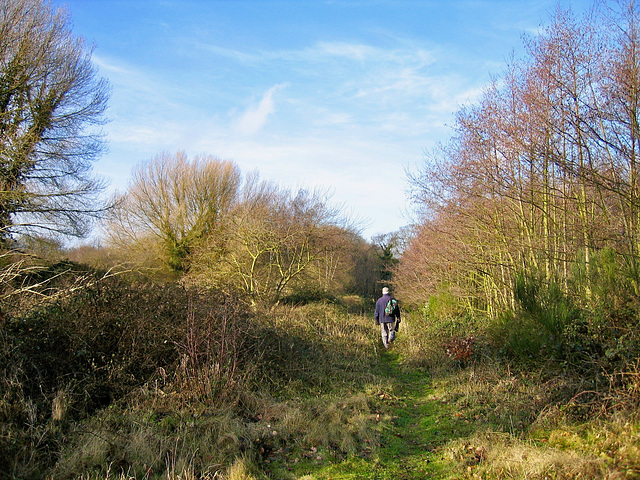 Fisherwick Lakes