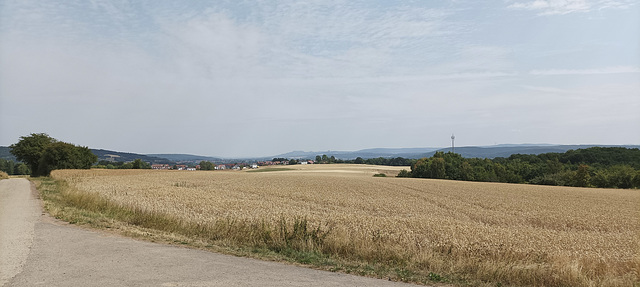 Jakobsweg Zapfendorf - Bamberg